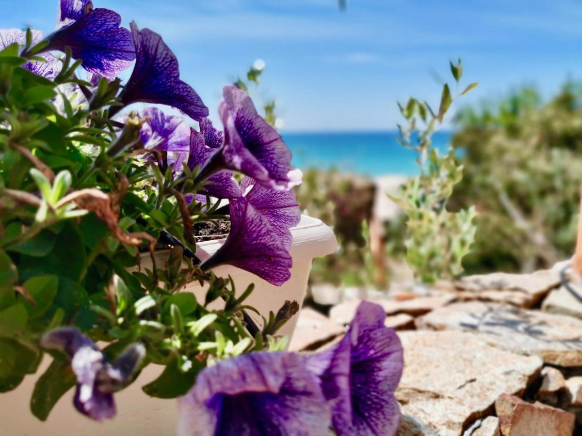 Beachfront House Geremeas Sardegna Apartamento Exterior foto